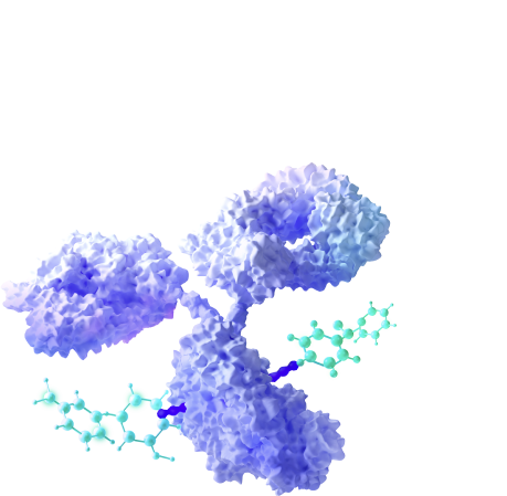 3D visualization of an antibody-drug conjugate