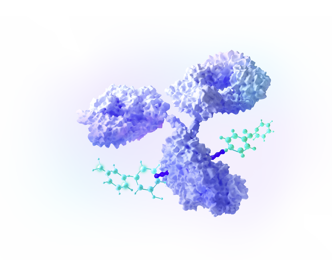 3D visualization of an antibody-drug conjugate